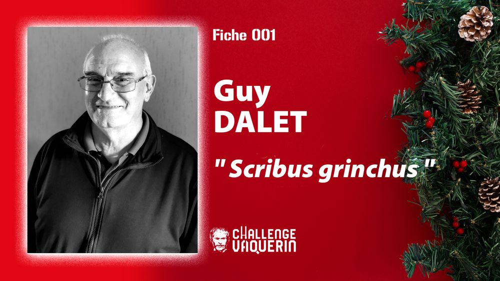 fiche challenge guy