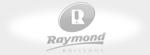 raymondboissonsnb